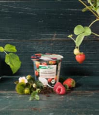 Rewe Erdbeer Himbeer Joghurt