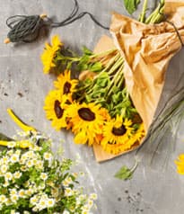 Sonnen- und Gänseblumenstrauß